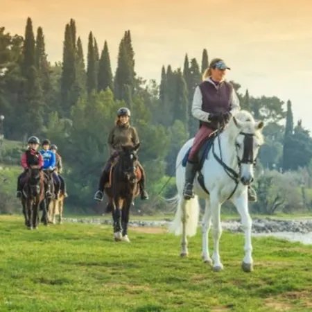 Excellent Mia * אומאג