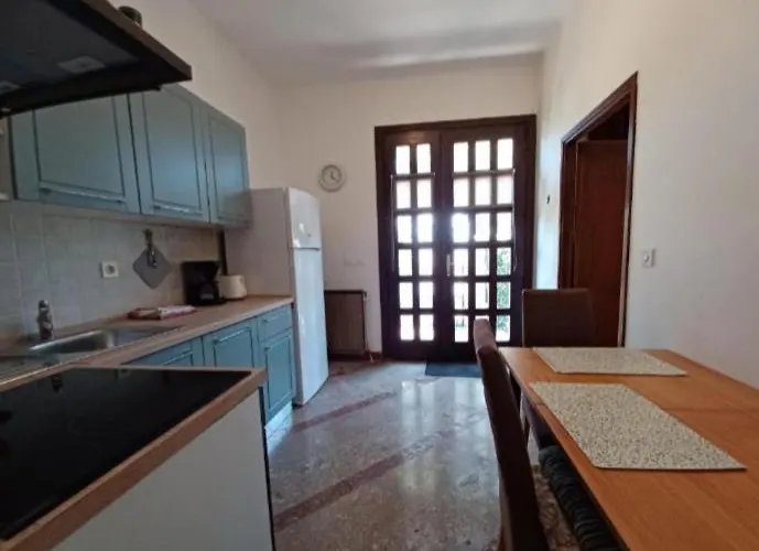 Excellent Mia 우마그