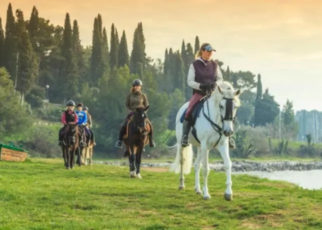 Excellent Mia * 우마그