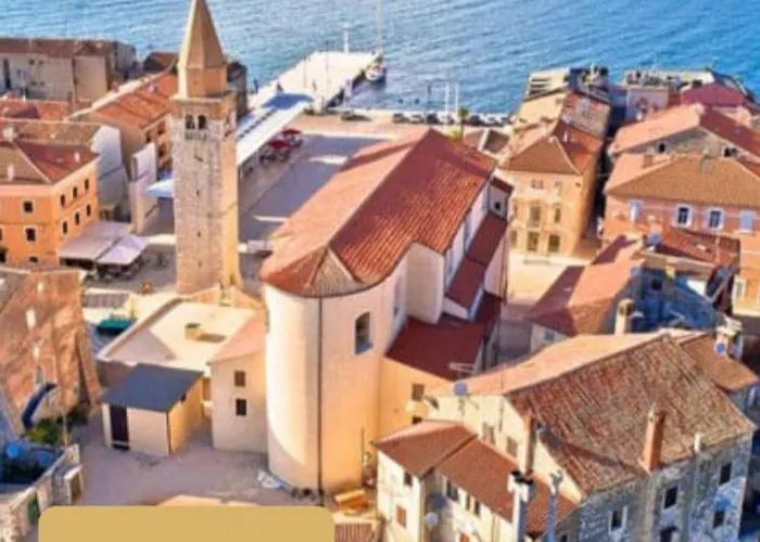 Excellent Mia 우마그